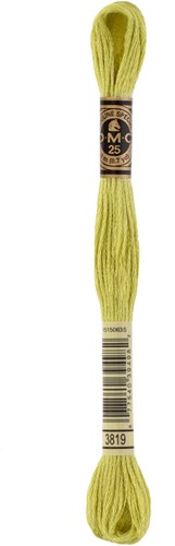 DMC 3831 - Embroidery Floss Skein 8m