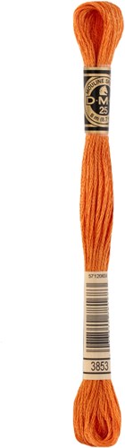 DMC 117MC Mouliné Spécial Embroidery Thread 8m 3853