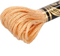 DMC 117MC Mouliné Spécial Embroidery Thread 8m 3856-2