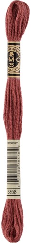 DMC 117MC Mouliné Spécial Embroidery Thread 8m 3858