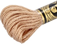 DMC 117MC Mouliné Spécial Embroidery Thread 8m 3864-2