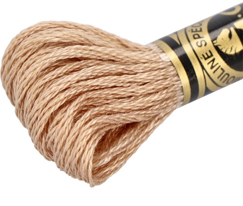 DMC 117MC Mouliné Spécial Embroidery Thread 8m 3864-2